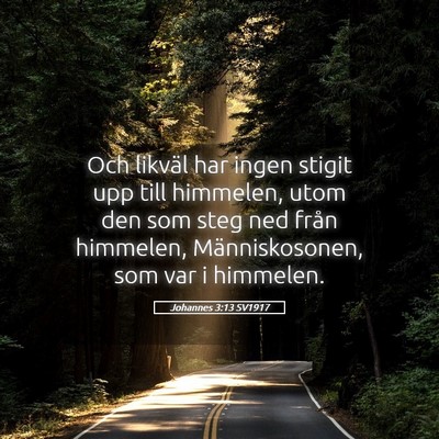 Picture 05 - Johannes 3:13 SV1917 - Och likväl har ingen stigit upp till himmelen, - Bible Verse Picture