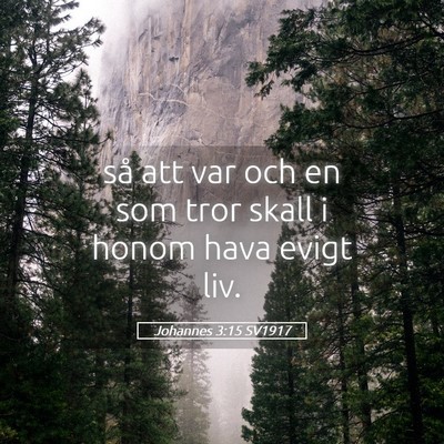 Picture 05 - Johannes 3:15 SV1917 - så att var och en som tror skall i honom hava - Bible Verse Picture