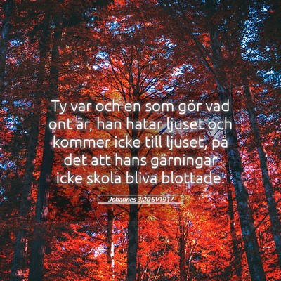 Picture 05 - Johannes 3:20 SV1917 - Ty var och en som gör vad ont är, han hatar - Bible Verse Picture