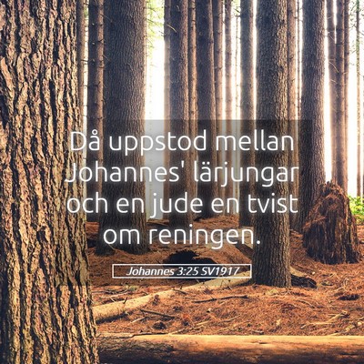 Picture 05 - Johannes 3:25 SV1917 - Då uppstod mellan Johannes' lärjungar och en - Bible Verse Picture