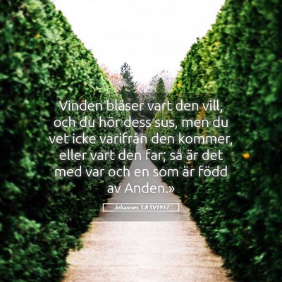 Picture 05 - Johannes 3:8 SV1917 - Vinden blåser vart den vill, och du hör dess - Bible Verse Picture