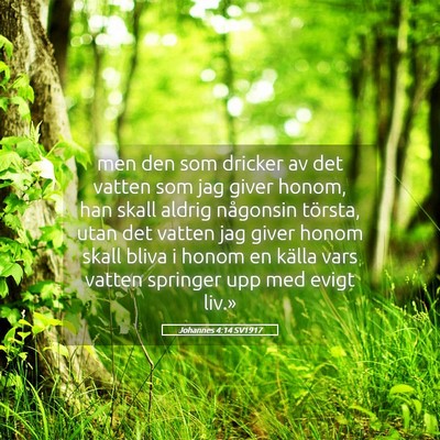 Picture 05 - Johannes 4:14 SV1917 - men den som dricker av det vatten som jag giver - Bible Verse Picture