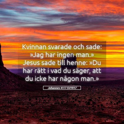 Picture 05 - Johannes 4:17 SV1917 - Kvinnan svarade och sade: »Jag har ingen man.» - Bible Verse Picture