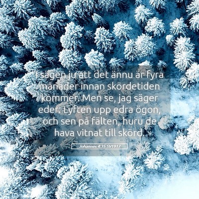 Picture 05 - Johannes 4:35 SV1917 - I sägen ju att det ännu är fyra månader innan - Bible Verse Picture