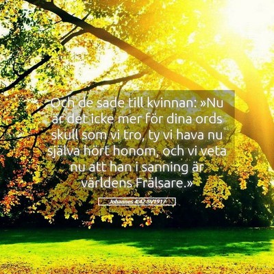 Picture 05 - Johannes 4:42 SV1917 - Och de sade till kvinnan: »Nu är det icke mer - Bible Verse Picture