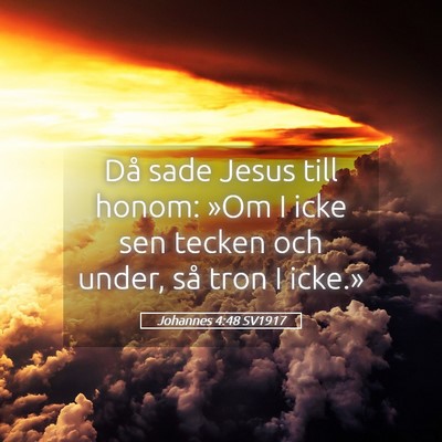 Picture 05 - Johannes 4:48 SV1917 - Då sade Jesus till honom: »Om I icke sen tecken - Bible Verse Picture