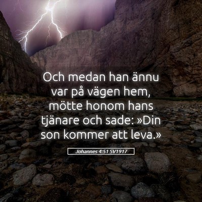 Picture 05 - Johannes 4:51 SV1917 - Och medan han ännu var på vägen hem, mötte - Bible Verse Picture