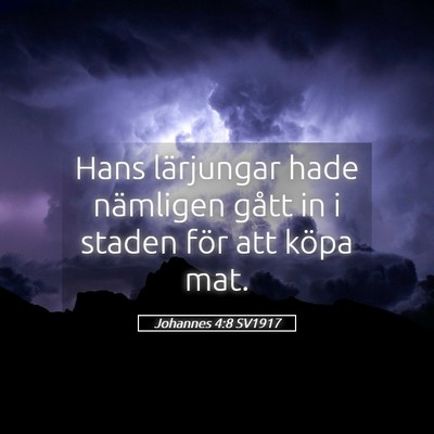 Picture 05 - Johannes 4:8 SV1917 - Hans lärjungar hade nämligen gått in i staden - Bible Verse Picture