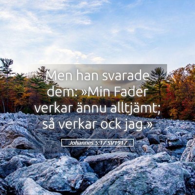 Picture 05 - Johannes 5:17 SV1917 - Men han svarade dem: »Min Fader verkar ännu - Bible Verse Picture