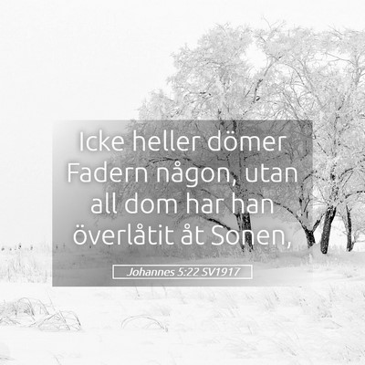 Picture 05 - Johannes 5:22 SV1917 - Icke heller dömer Fadern någon, utan all dom - Bible Verse Picture