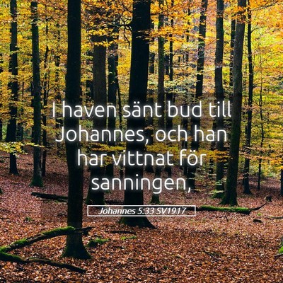 Picture 05 - Johannes 5:33 SV1917 - I haven sänt bud till Johannes, och han har - Bible Verse Picture