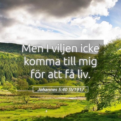Picture 05 - Johannes 5:40 SV1917 - Men I viljen icke komma till mig för att få - Bible Verse Picture