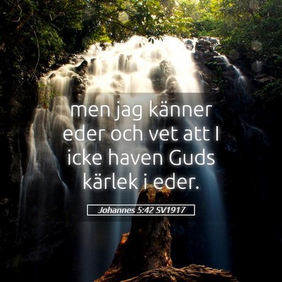Picture 05 - Johannes 5:42 SV1917 - men jag känner eder och vet att I icke haven - Bible Verse Picture