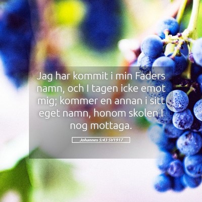 Picture 05 - Johannes 5:43 SV1917 - Jag har kommit i min Faders namn, och I tagen - Bible Verse Picture