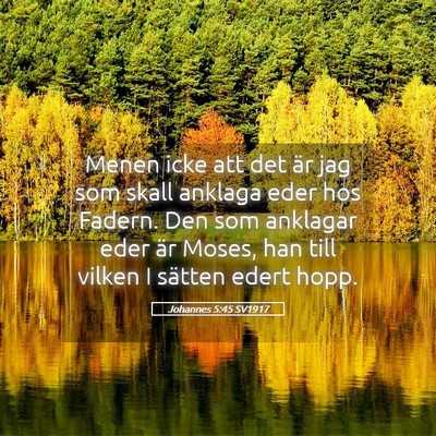 Picture 05 - Johannes 5:45 SV1917 - Menen icke att det är jag som skall anklaga eder - Bible Verse Picture