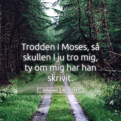 Picture 05 - Johannes 5:46 SV1917 - Trodden I Moses, så skullen I ju tro mig, ty om - Bible Verse Picture