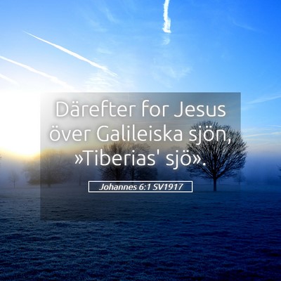 Picture 05 - Johannes 6:1 SV1917 - Därefter for Jesus över Galileiska sjön, - Bible Verse Picture
