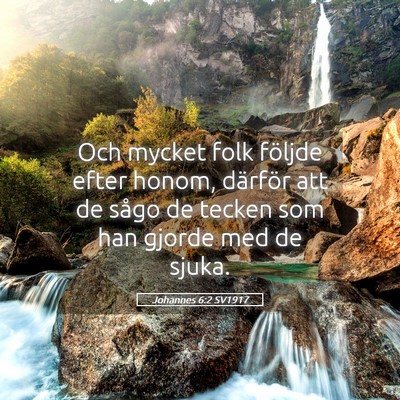 Picture 05 - Johannes 6:2 SV1917 - Och mycket folk följde efter honom, därför att - Bible Verse Picture