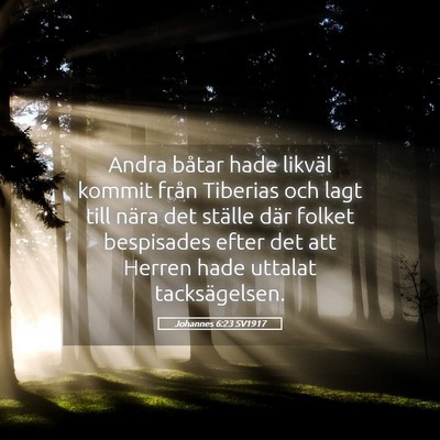 Picture 05 - Johannes 6:23 SV1917 - Andra båtar hade likväl kommit från Tiberias - Bible Verse Picture