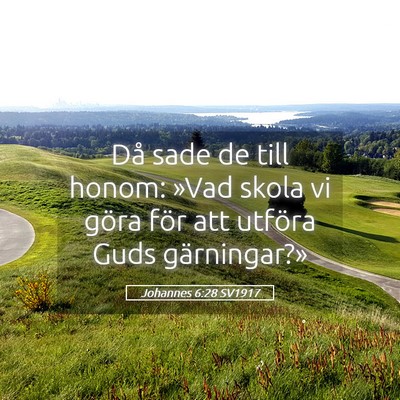 Picture 05 - Johannes 6:28 SV1917 - Då sade de till honom: »Vad skola vi göra för - Bible Verse Picture