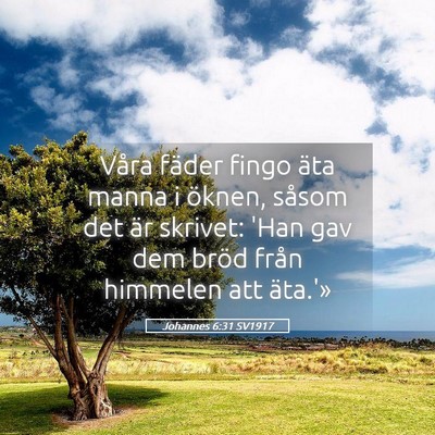 Picture 05 - Johannes 6:31 SV1917 - Våra fäder fingo äta manna i öknen, såsom - Bible Verse Picture