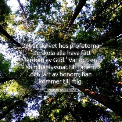 Picture 05 - Johannes 6:45 SV1917 - Det är skrivet hos profeterna: 'De skola alla - Bible Verse Picture