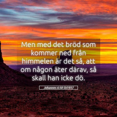 Picture 05 - Johannes 6:50 SV1917 - Men med det bröd som kommer ned från himmelen - Bible Verse Picture