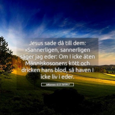 Picture 05 - Johannes 6:53 SV1917 - Jesus sade då till dem: »Sannerligen, - Bible Verse Picture