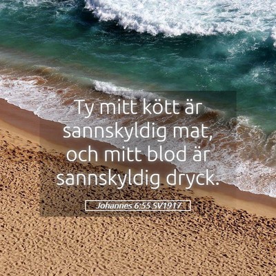 Picture 05 - Johannes 6:55 SV1917 - Ty mitt kött är sannskyldig mat, och mitt blod - Bible Verse Picture
