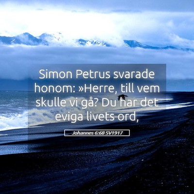 Picture 05 - Johannes 6:68 SV1917 - Simon Petrus svarade honom: »Herre, till vem - Bible Verse Picture