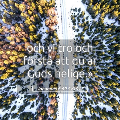 Picture 05 - Johannes 6:69 SV1917 - och vi tro och förstå att du är Guds - Bible Verse Picture