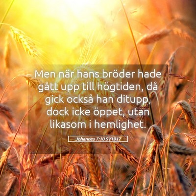 Picture 05 - Johannes 7:10 SV1917 - Men när hans bröder hade gått upp till - Bible Verse Picture