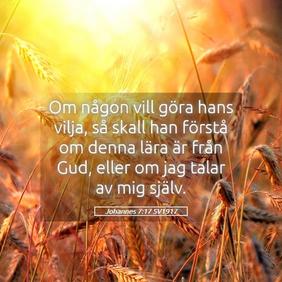 Picture 05 - Johannes 7:17 SV1917 - Om någon vill göra hans vilja, så skall han - Bible Verse Picture