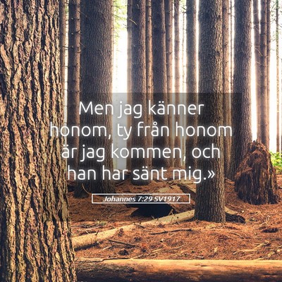 Picture 05 - Johannes 7:29 SV1917 - Men jag känner honom, ty från honom är jag - Bible Verse Picture