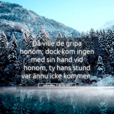 Picture 05 - Johannes 7:30 SV1917 - Då ville de gripa honom; dock kom ingen med sin - Bible Verse Picture