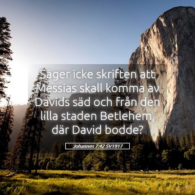 Picture 05 - Johannes 7:42 SV1917 - Säger icke skriften att Messias skall komma av - Bible Verse Picture