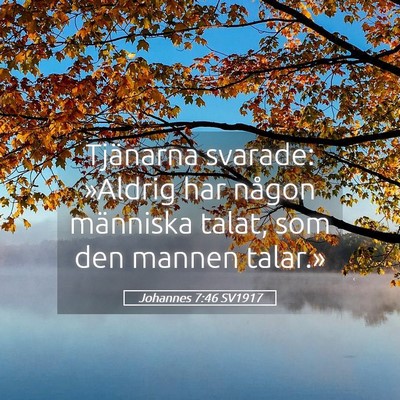 Picture 05 - Johannes 7:46 SV1917 - Tjänarna svarade: »Aldrig har någon människa - Bible Verse Picture