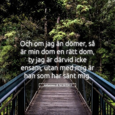 Picture 05 - Johannes 8:16 SV1917 - Och om jag än dömer, så är min dom en rätt - Bible Verse Picture