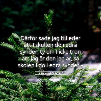 Picture 05 - Johannes 8:24 SV1917 - Därför sade jag till eder att I skullen dö i - Bible Verse Picture