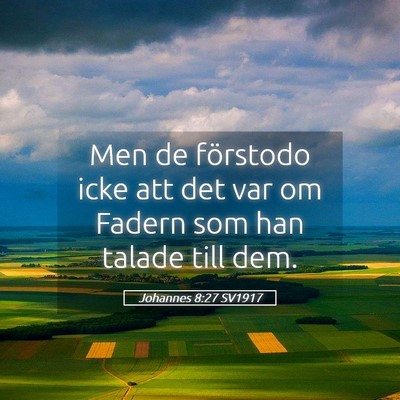 Picture 05 - Johannes 8:27 SV1917 - Men de förstodo icke att det var om Fadern som - Bible Verse Picture