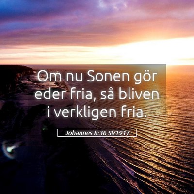 Picture 05 - Johannes 8:36 SV1917 - Om nu Sonen gör eder fria, så bliven i - Bible Verse Picture