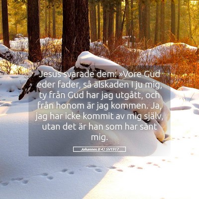 Picture 05 - Johannes 8:42 SV1917 - Jesus svarade dem: »Vore Gud eder fader, så - Bible Verse Picture