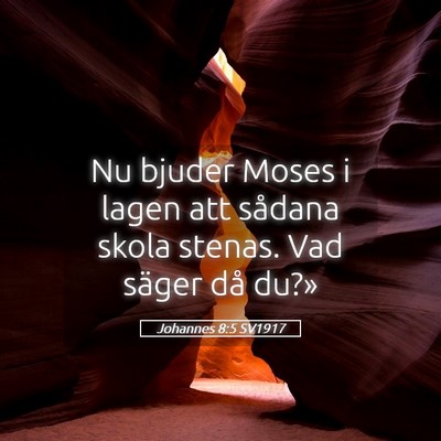 Picture 05 - Johannes 8:5 SV1917 - Nu bjuder Moses i lagen att sådana skola stenas. - Bible Verse Picture