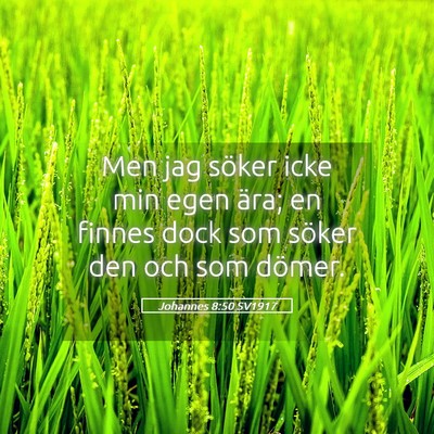 Picture 05 - Johannes 8:50 SV1917 - Men jag söker icke min egen ära; en finnes dock - Bible Verse Picture