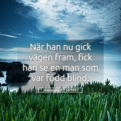 Picture 05 - Johannes 9:1 SV1917 - När han nu gick vägen fram, fick han se en man - Bible Verse Picture
