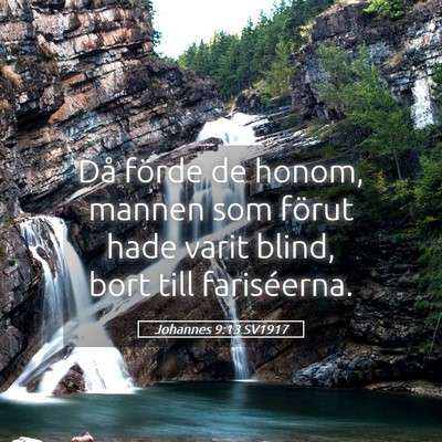 Picture 05 - Johannes 9:13 SV1917 - Då förde de honom, mannen som förut hade varit - Bible Verse Picture
