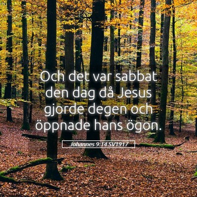 Picture 05 - Johannes 9:14 SV1917 - Och det var sabbat den dag då Jesus gjorde degen - Bible Verse Picture