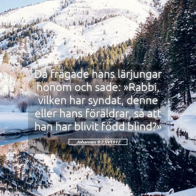 Picture 05 - Johannes 9:2 SV1917 - Då frågade hans lärjungar honom och sade: - Bible Verse Picture