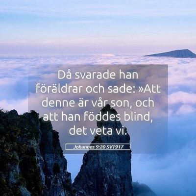 Picture 05 - Johannes 9:20 SV1917 - Då svarade han föräldrar och sade: »Att denne - Bible Verse Picture