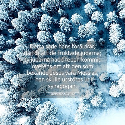Picture 05 - Johannes 9:22 SV1917 - Detta sade hans föräldrar, därför att de - Bible Verse Picture